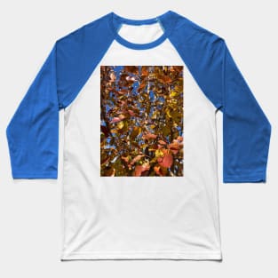 Late Autumn Pear Tree Baseball T-Shirt